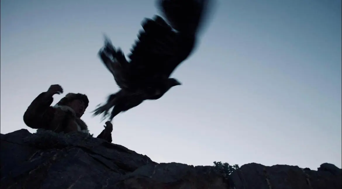 Bird